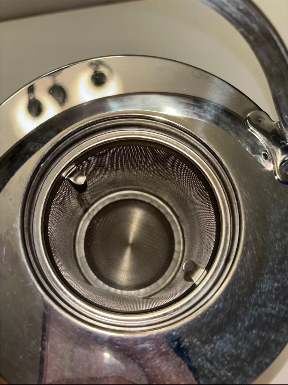 Stainless Steel Teapot with Handle - Silver